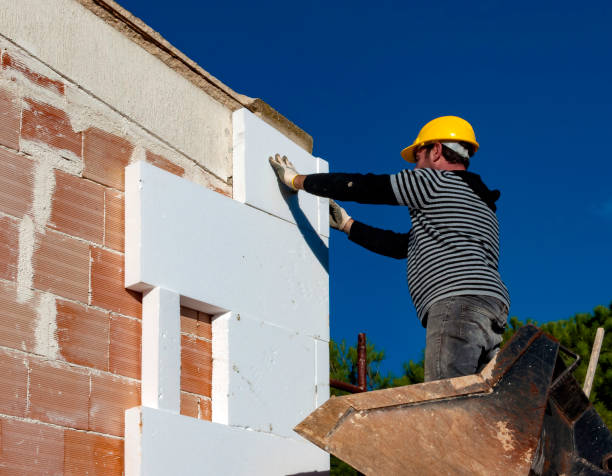 Best Insulation for New Construction  in Kohler, WI